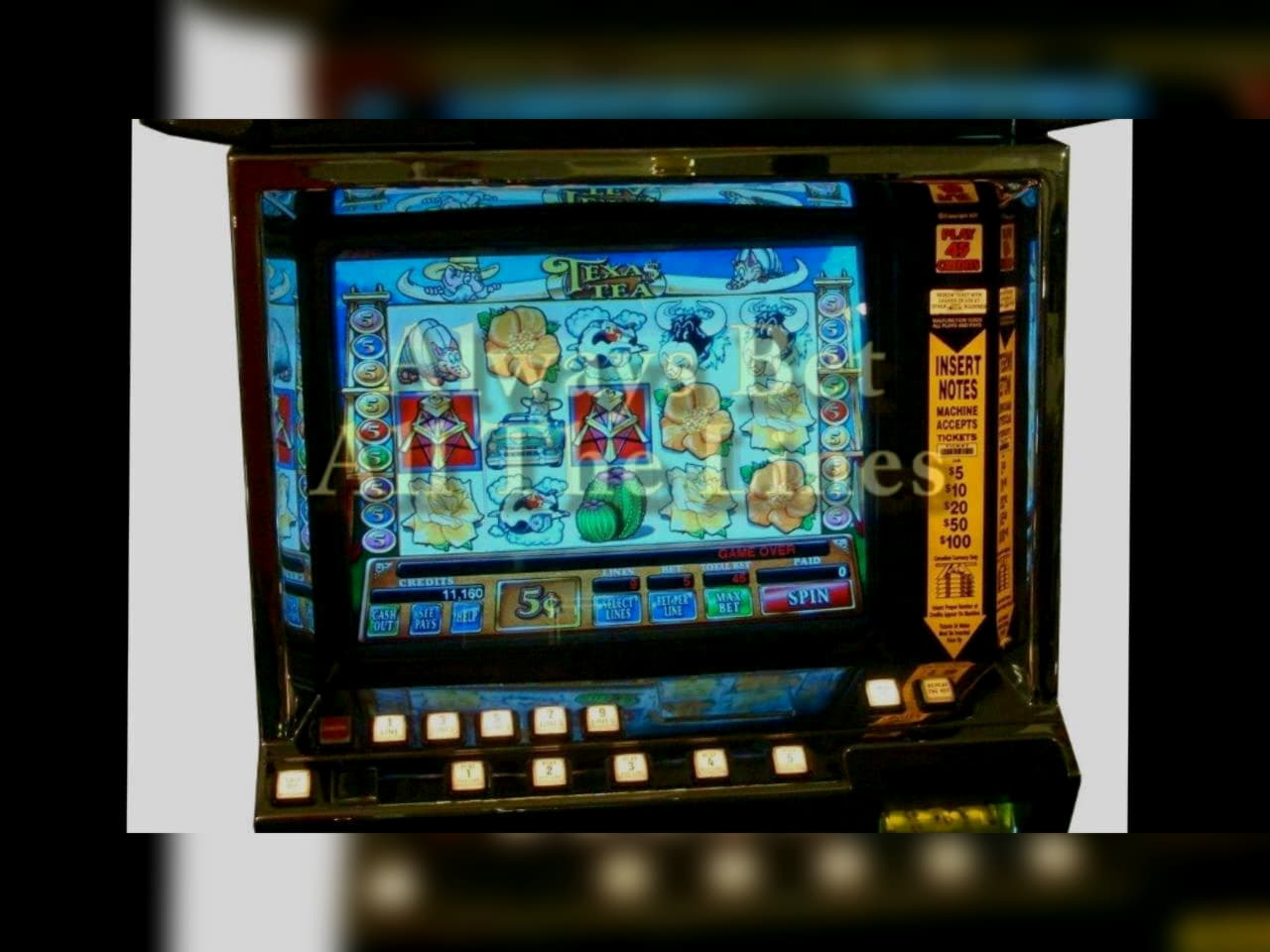$4735 NO DEPOSIT BONUS CODE at Casino Action